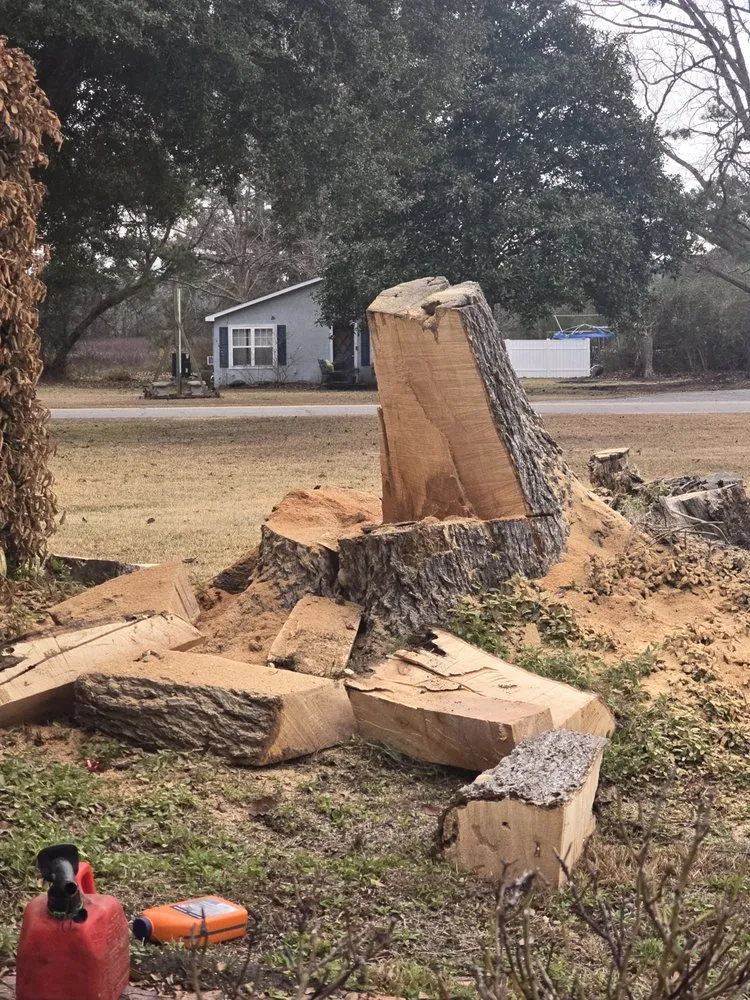 Custom landscape installation for homes in Bolivia, NC by T&M Solutions