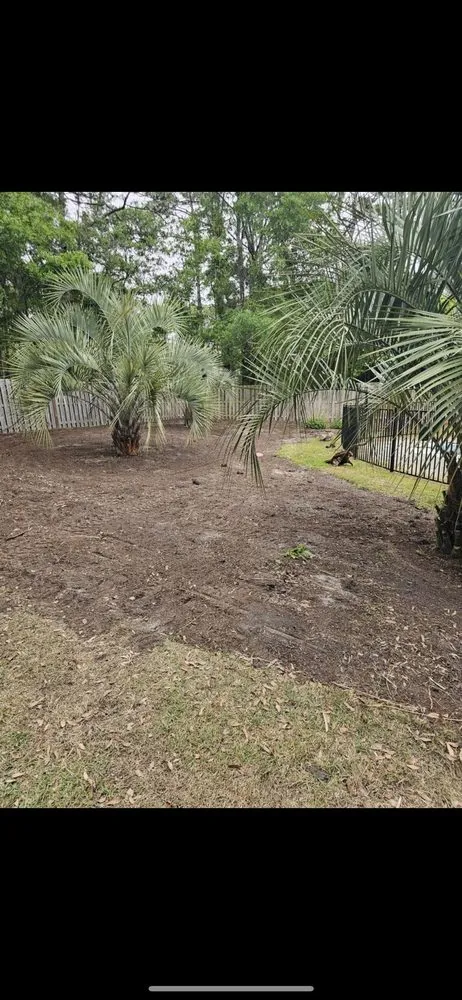 Top-rated yard maintenance with custom design across Bolivia, NC - T&M Solutions