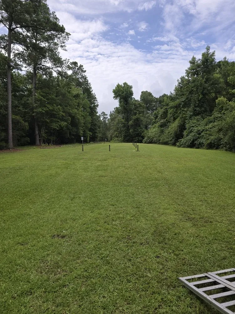 Reliable landscaping services experts serving Bolivia, NC - T&M Solutions