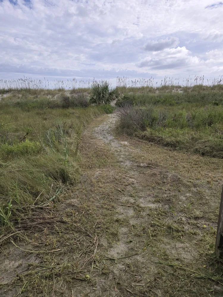 Expert yard maintenance in Bolivia, NC - T&M Solutions