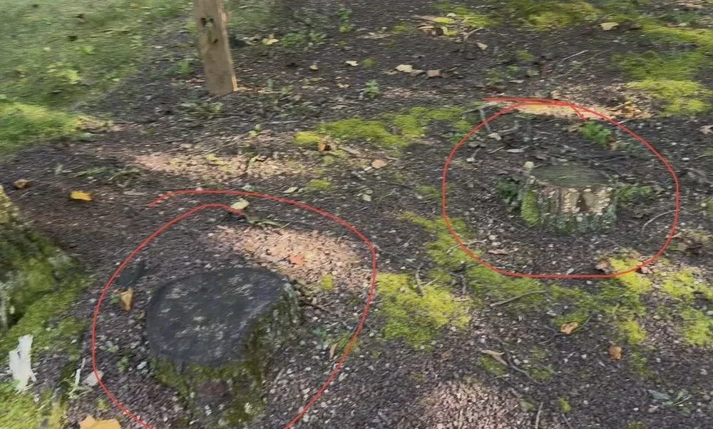 Local landscape design for beautiful yards in Reading, PA by TM Stump Grinding