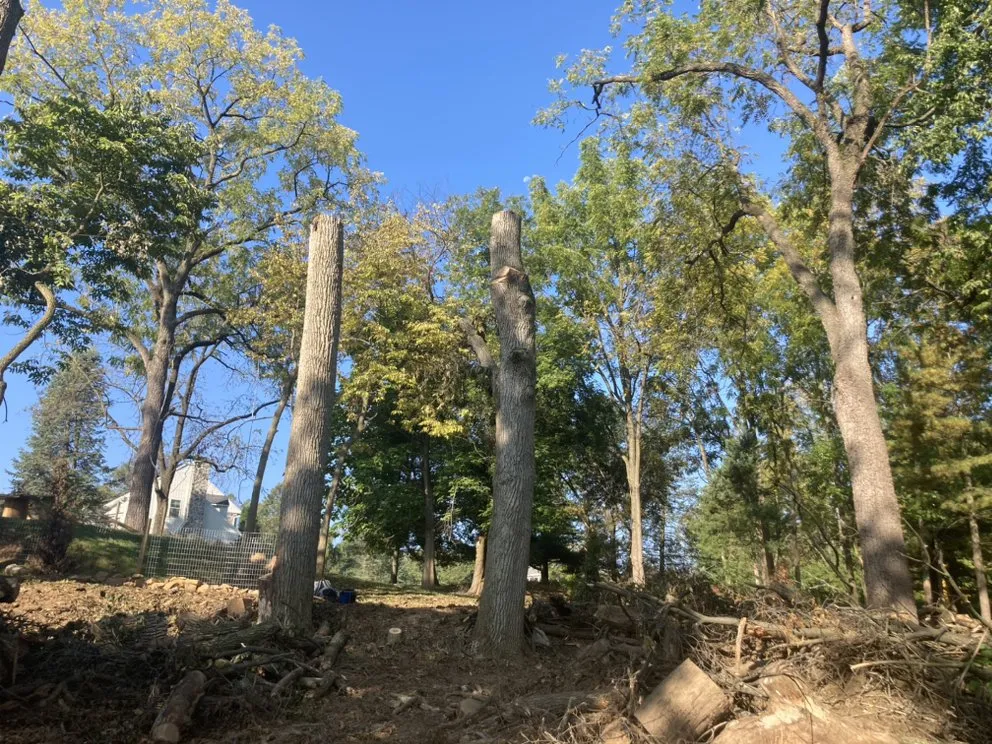 Reliable garden landscaping experts serving Reading, PA - TM Stump Grinding