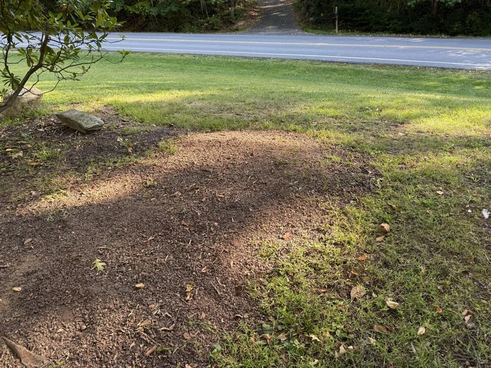 Local yard maintenance in Reading, PA by TM Stump Grinding