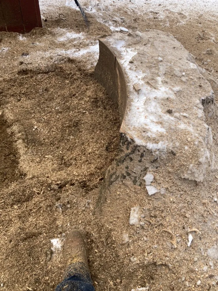 Affordable lawn care service near you in Reading, PA by TM Stump Grinding