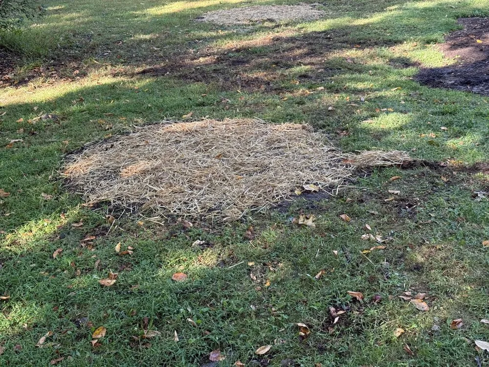 Expert garden landscaping for year-round maintenance across Reading, PA - TM Stump Grinding