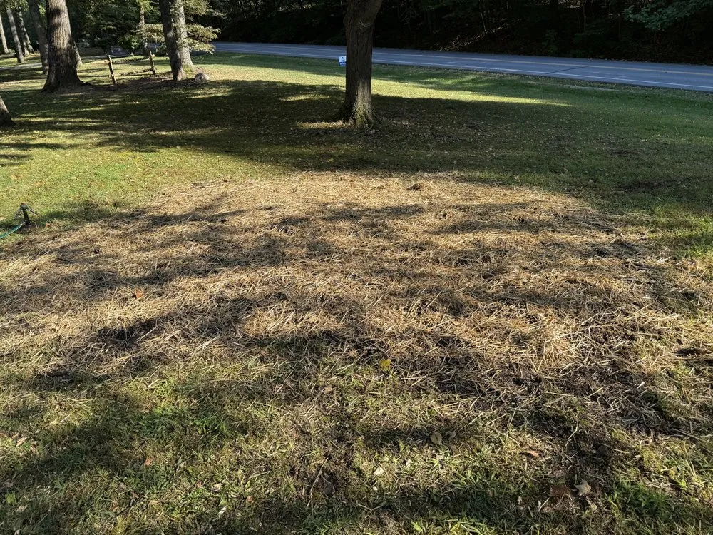 Reliable landscape installation in Reading, PA - TM Stump Grinding