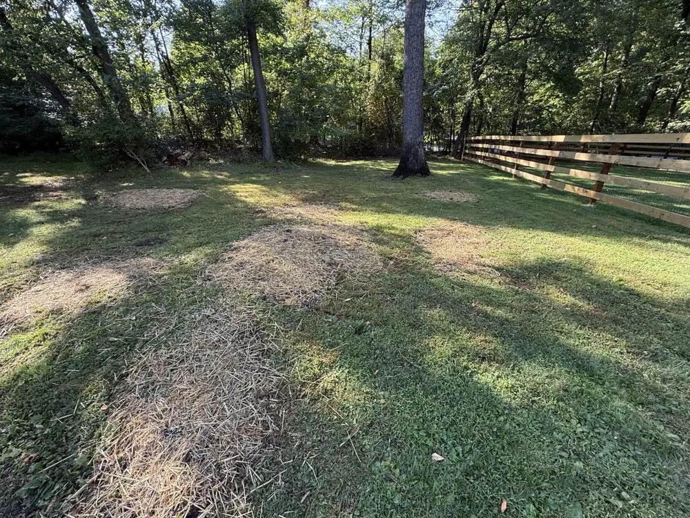 Trusted yard maintenance for beautiful yards in Reading, PA by TM Stump Grinding