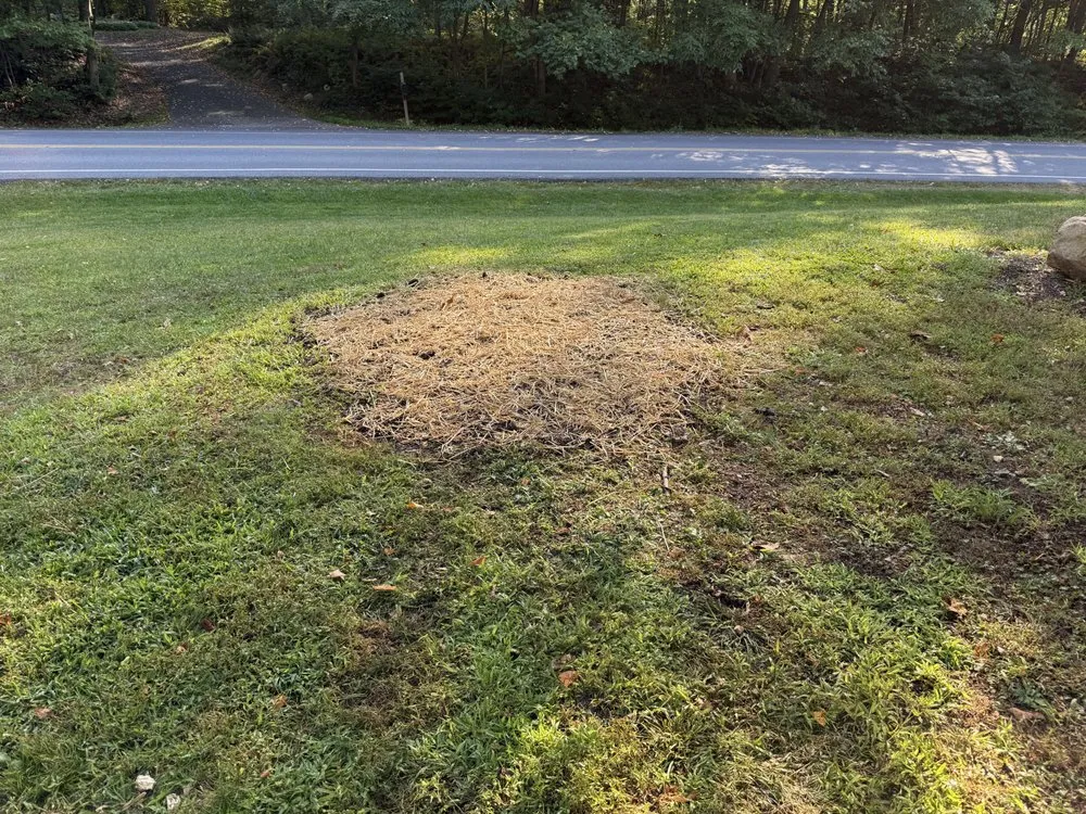 Custom landscape installation in Reading, PA - TM Stump Grinding
