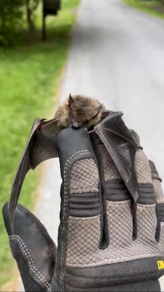 Reliable garden landscaping near you in Reading, PA by TM Stump Grinding