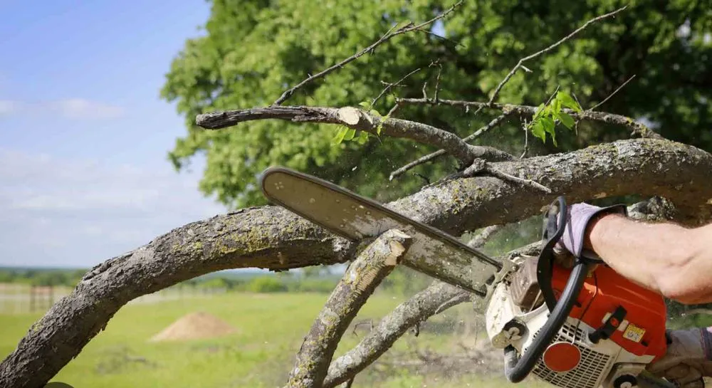 Local lawn mowing service for year-round maintenance across Swords Creek, VA - T&M Tree Service & Landscaping