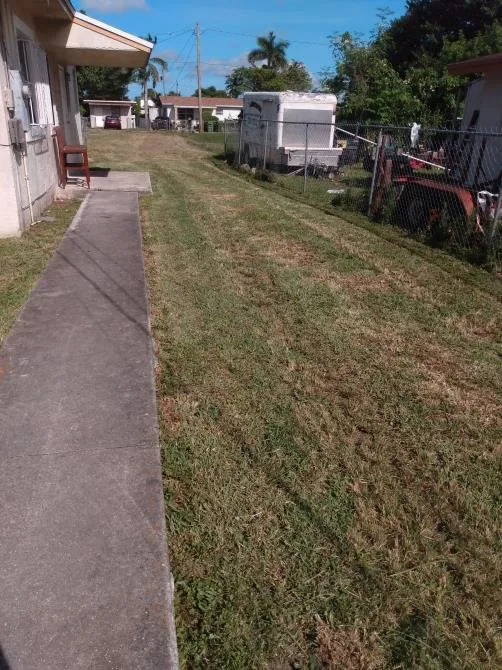 Affordable yard maintenance for outdoor upgrades across Homestead, FL - TMAC Landscaping