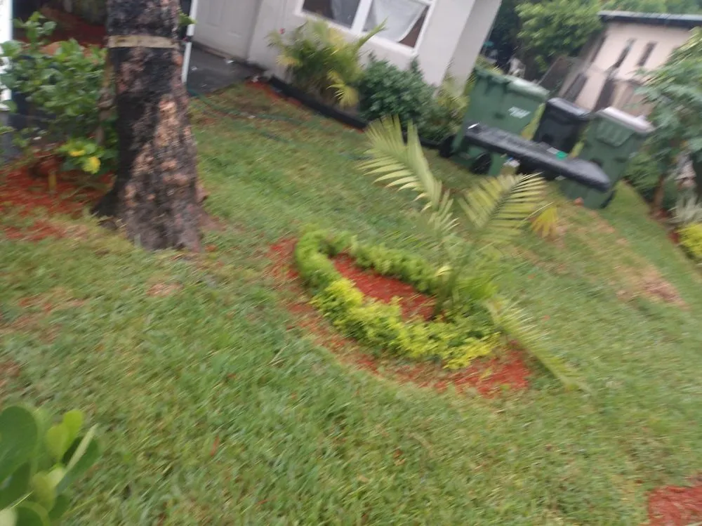 Local yard cleanup service in Homestead, FL - TMAC Landscaping