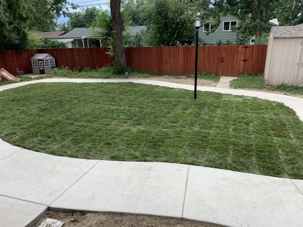 Local yard maintenance in Colorado Springs, CO by TMB Landscaping
