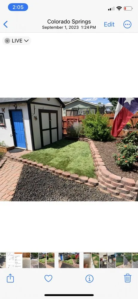 Custom yard maintenance experts serving Colorado Springs, CO - TMB Landscaping