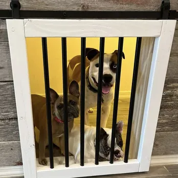 Custom residential landscaping experts serving San Benito, TX - TMBM  Lawn & Handyman Services