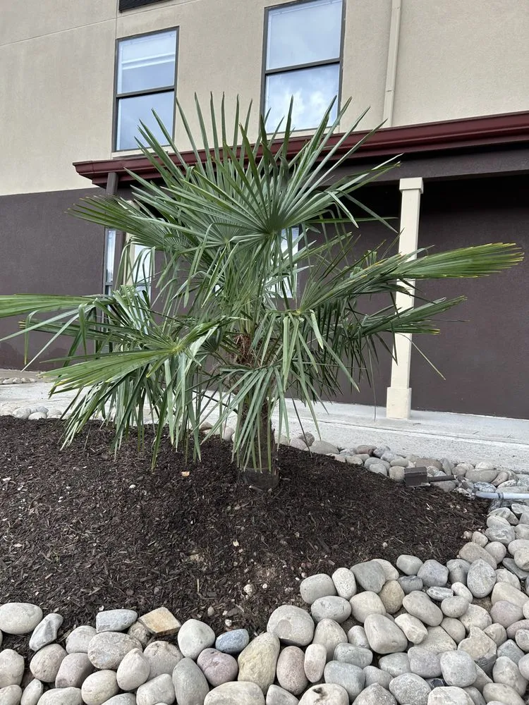 Trusted residential landscaping for outdoor upgrades in King, NC by TMC Landscape Design