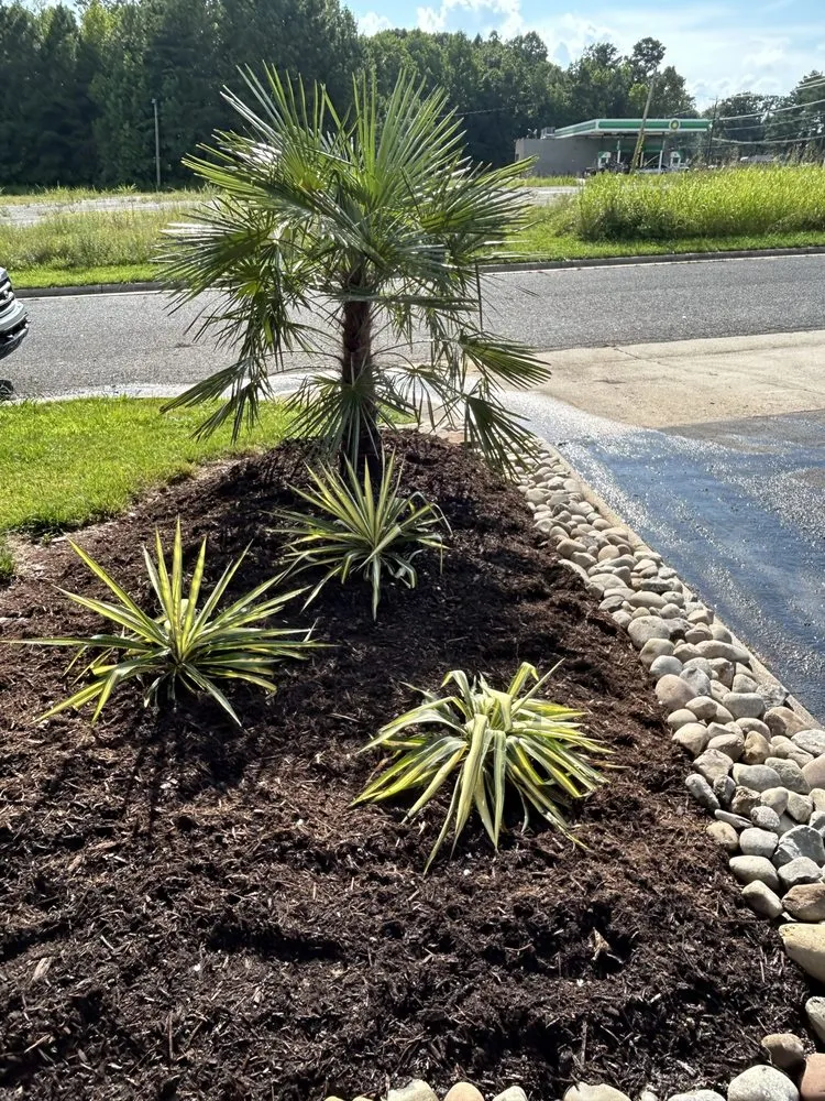 Expert yard cleanup service experts serving King, NC - TMC Landscape Design
