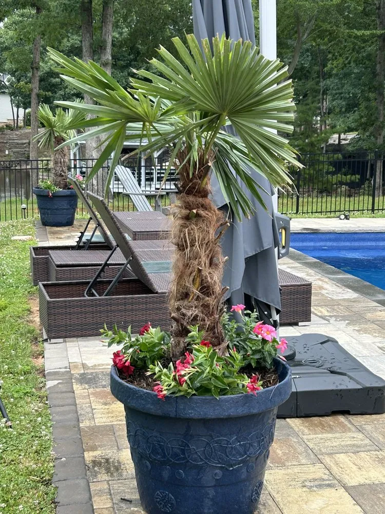 Expert landscaping services in King, NC - TMC Landscape Design