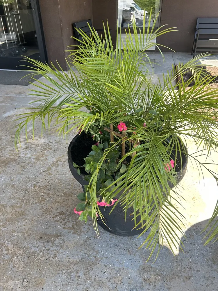 Reliable outdoor landscaping experts serving King, NC - TMC Landscape Design