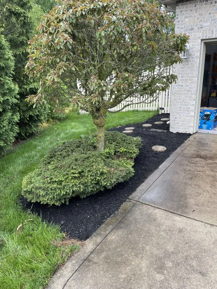 Affordable lawn care service experts serving Goshen, IN - Tmc Lawn Care & Landscaping