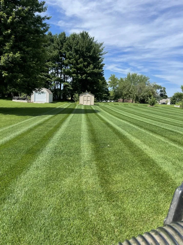 Affordable yard cleanup service for residential properties in Goshen, IN by Tmc Lawn Care & Landscaping