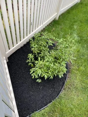 Tmc Lawn Care & Landscaping Logo