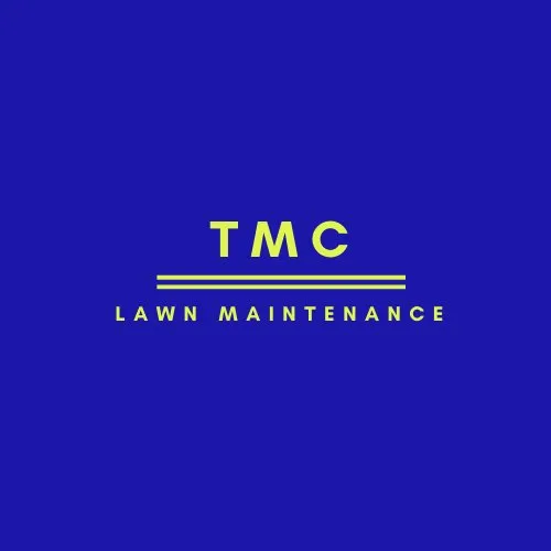 Professional yard cleanup service for year-round maintenance in Florissant, MO by TMC Lawn Maintenance