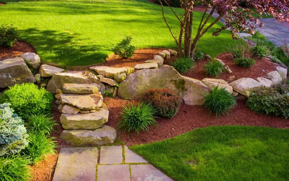 Affordable landscaping services in Florissant, MO - TMC Lawn Maintenance