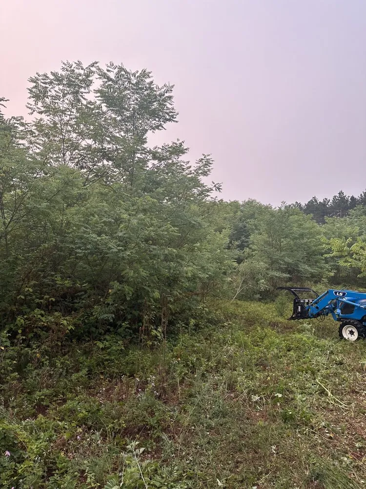 Local yard maintenance in Edgerton, WI by TMC Outdoor Services