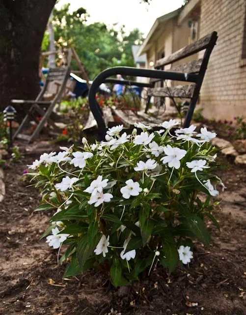 Reliable landscaping services experts serving Pflugerville, TX - TME Landscaping