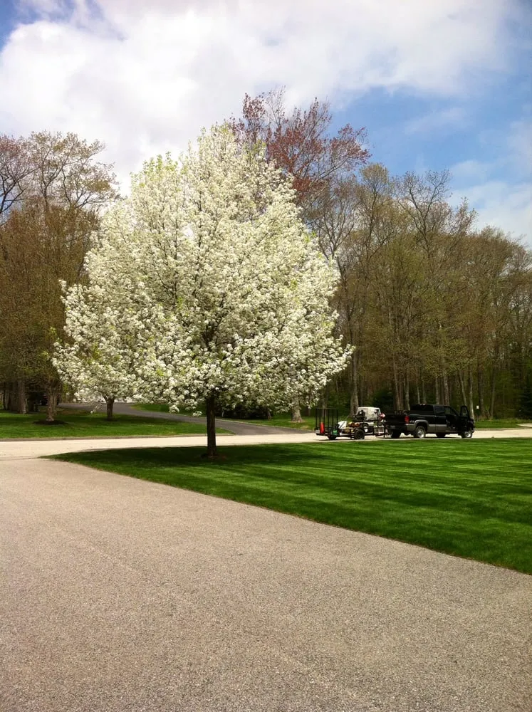 Local landscape installation for outdoor upgrades in Arundel, ME by TML Grounds Care
