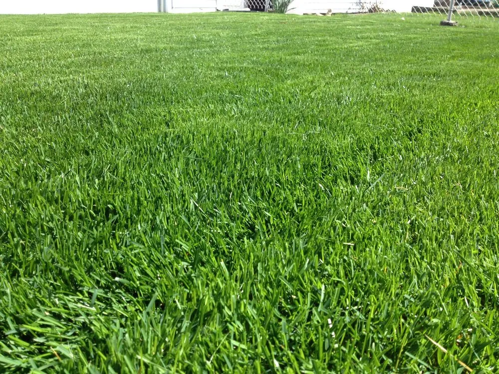 Top-rated garden landscaping in Evergreen Park, IL - TML Mowing Company