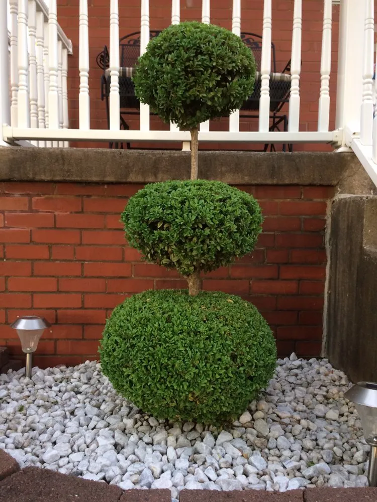 Affordable lawn care service in Evergreen Park, IL - TML Mowing Company