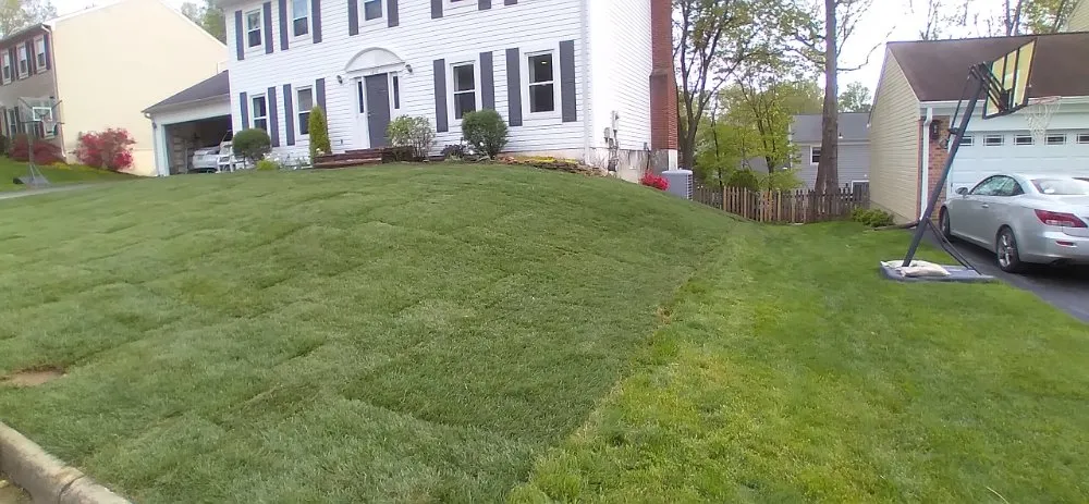 Local garden landscaping for residential properties in Baltimore, MD by TMLB Landscaping