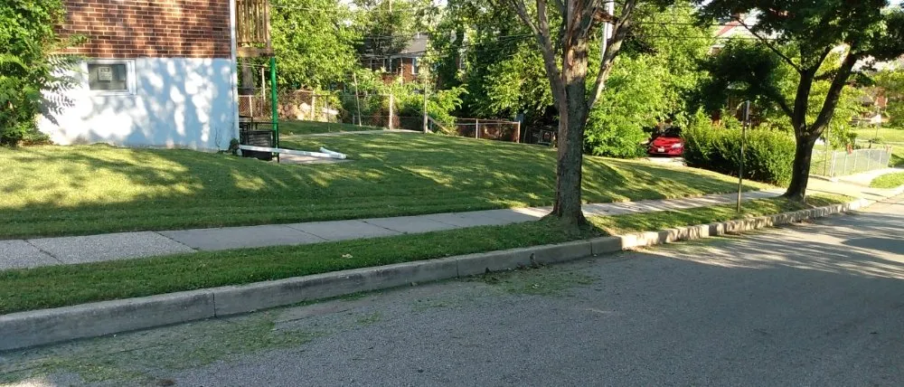 Top-rated landscape installation in Baltimore, MD - TMLB Landscaping