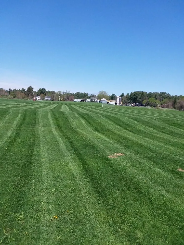 Reliable landscape design for beautiful yards across Hillsborough, NH - TM&M Services