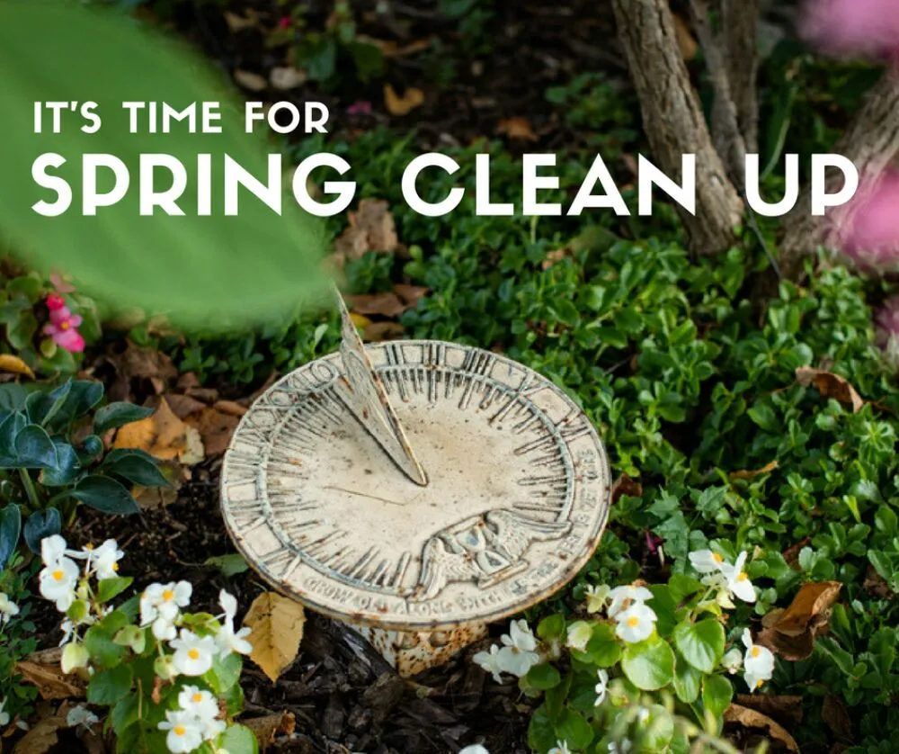 Top-rated yard cleanup service for residential properties across Hillsborough, NH - TM&M Services