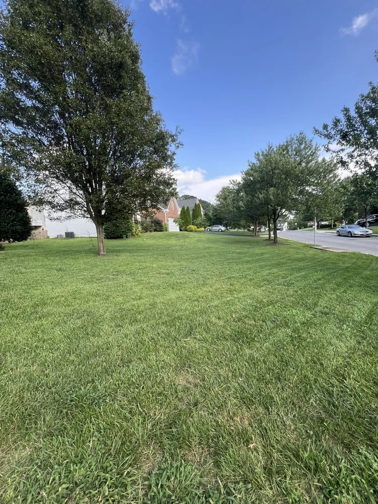 Expert landscape installation experts serving Columbia, MD - T´Mow Lawn Service