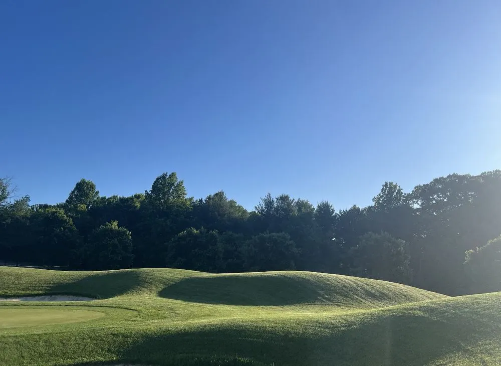 Affordable yard cleanup service in Columbia, MD by T´Mow Lawn Service