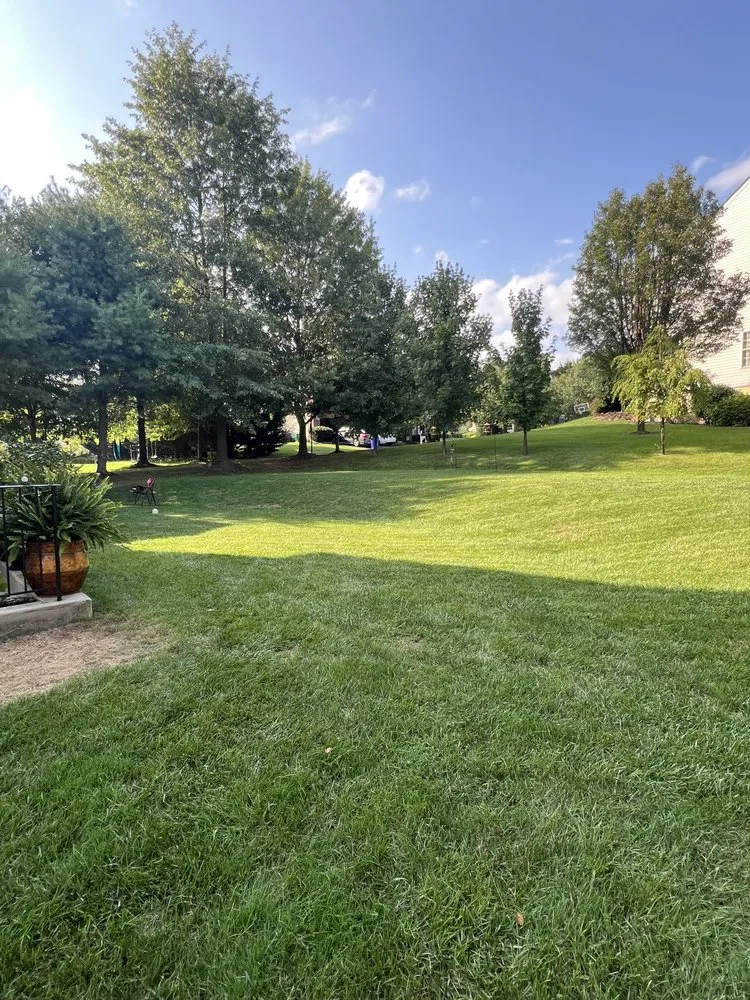 Trusted yard maintenance in Columbia, MD - T´Mow Lawn Service