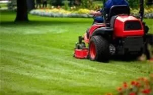 Local outdoor landscaping experts serving Homestead, FL - TMR Enterprises