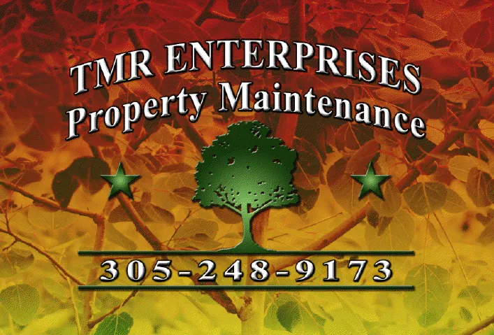 Custom lawn care service in Homestead, FL - TMR Enterprises