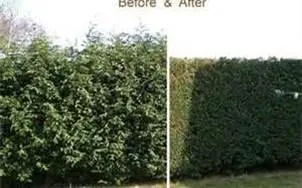 Local landscape installation experts serving Homestead, FL - TMR Enterprises