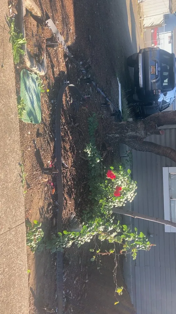 Trusted landscaping services in Roseburg, OR by TMS Landscape