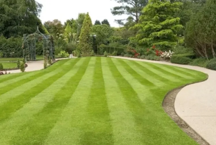 Custom garden landscaping near you across Roseburg, OR - TMS Landscape