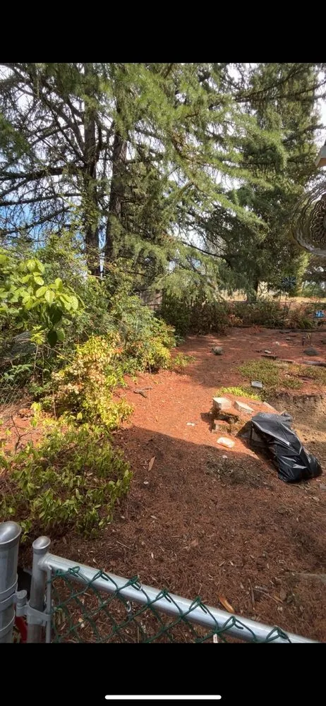 Trusted outdoor landscaping for residential properties in Roseburg, OR by TMS Landscape