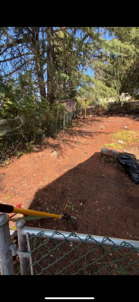 Professional landscaping services with custom design in Roseburg, OR by TMS Landscape