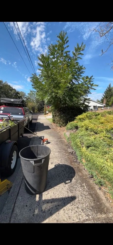 Trusted yard maintenance in Roseburg, OR - TMS Landscape