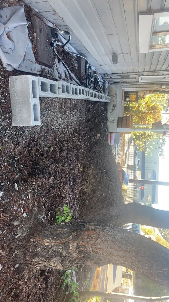 Custom yard cleanup service experts serving Roseburg, OR - TMS Landscape