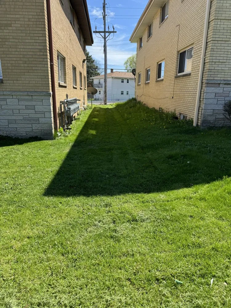 Professional yard cleanup service in Milwaukee, WI by T&M’s Landscaping